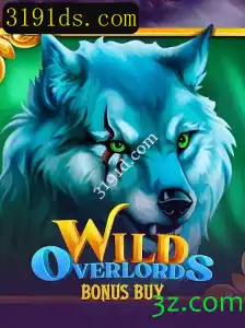 Explorando o Mundo de WildOverlordsBonusBuy